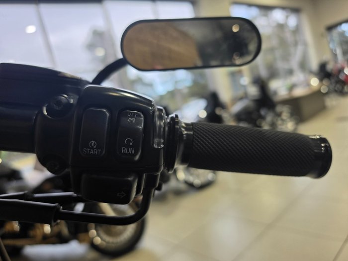 2006 HARLEY-DAVIDSON FXSTI SOFTAIL
