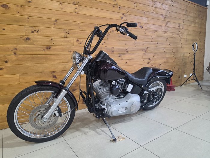 2006 HARLEY-DAVIDSON FXSTI SOFTAIL