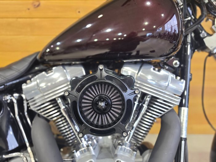 2006 HARLEY-DAVIDSON FXSTI SOFTAIL