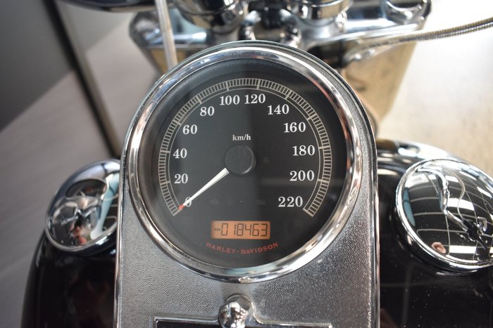 2017 HARLEY-DAVIDSON FLSTF FAT BOY