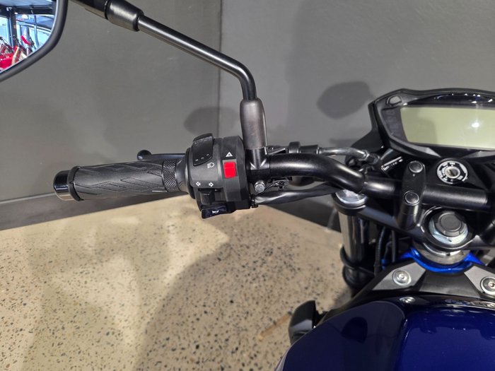 2025 Suzuki SV650 BLUE
