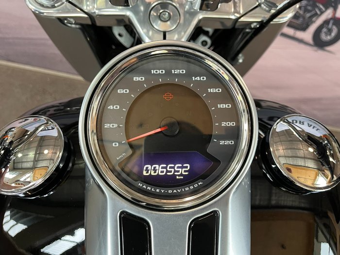 2019 HARLEY-DAVIDSON FLFBS FAT BOY (114)