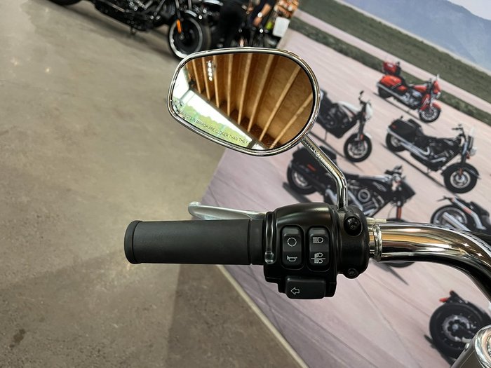 2019 HARLEY-DAVIDSON FLFBS FAT BOY (114)