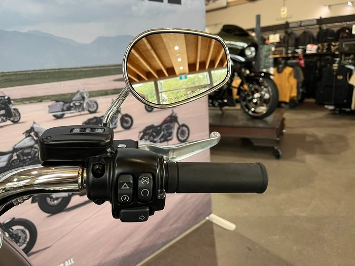 2019 HARLEY-DAVIDSON FLFBS FAT BOY (114)