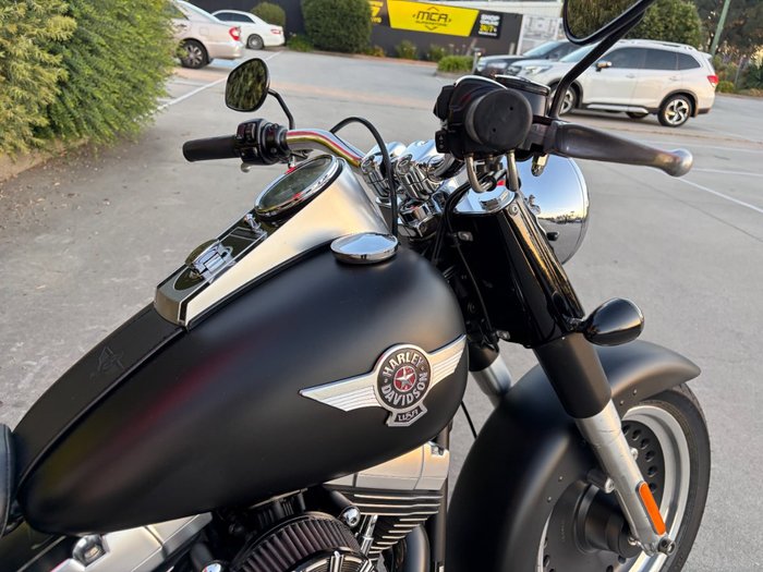 2010 HARLEY-DAVIDSON FLSTFB FAT BOY LO