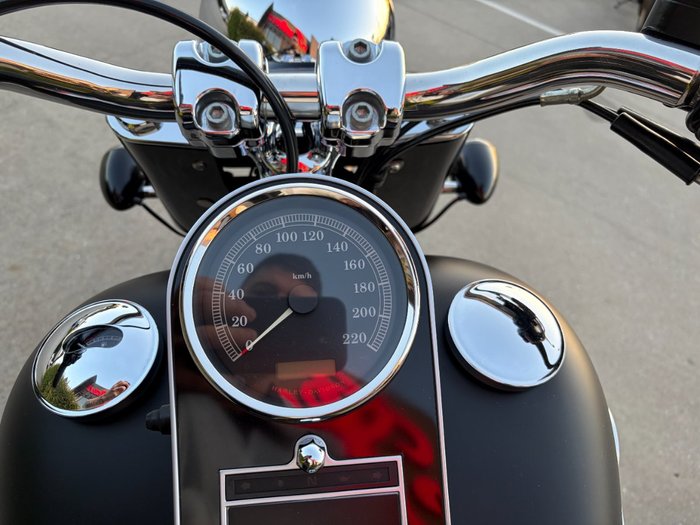 2010 HARLEY-DAVIDSON FLSTFB FAT BOY LO