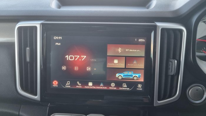 2021 GWM Ute Cannon
