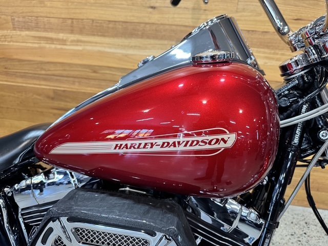 2013 HARLEY-DAVIDSON FXST SOFTAIL STANDARD
