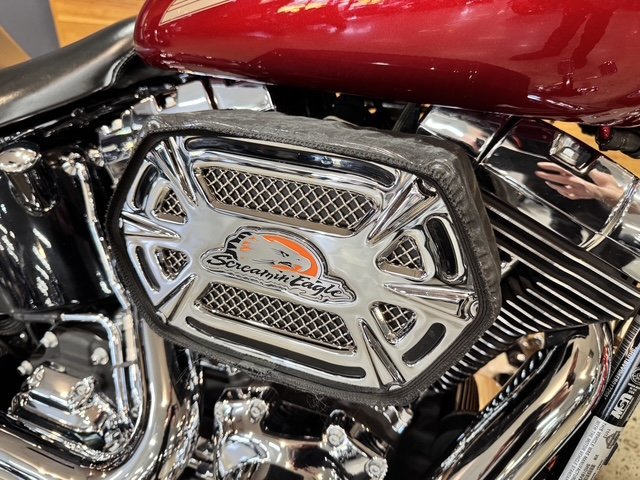 2013 HARLEY-DAVIDSON FXST SOFTAIL STANDARD