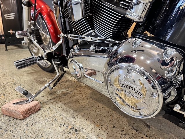 2013 HARLEY-DAVIDSON FXST SOFTAIL STANDARD