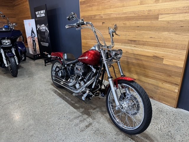 2013 HARLEY-DAVIDSON FXST SOFTAIL STANDARD