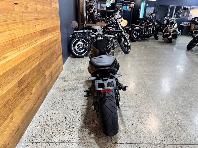 2024 HARLEY-DAVIDSON HD350-10 H-DX X350