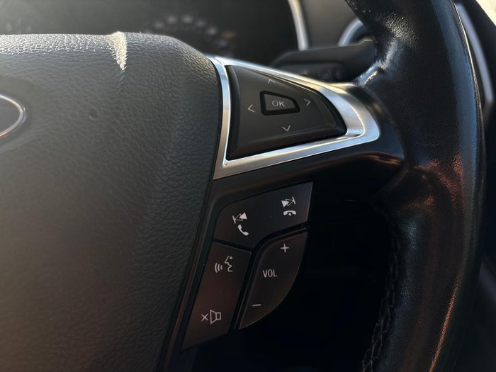 2019 Ford Endura Trend