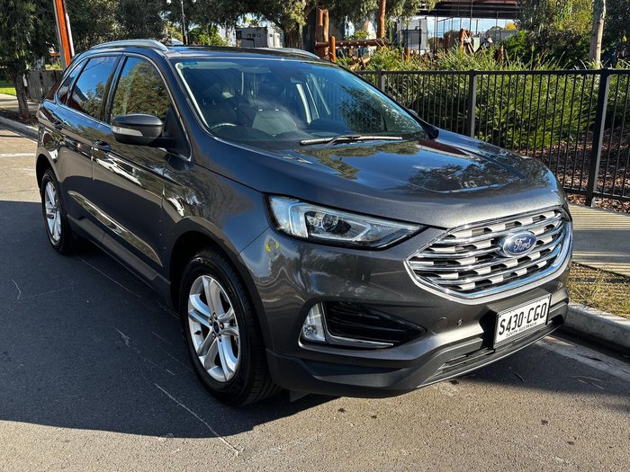 2019 Ford Endura Trend