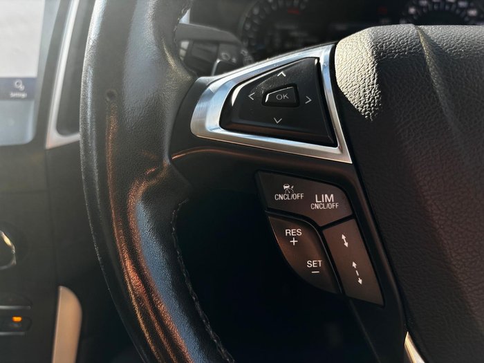 2019 Ford Endura Trend