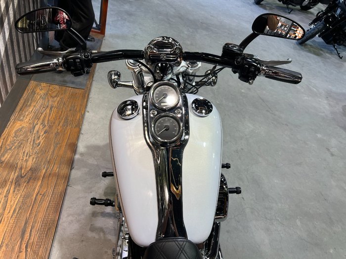 2008 HARLEY-DAVIDSON FXDL DYNA LOW RIDER