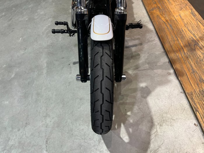 2008 HARLEY-DAVIDSON FXDL DYNA LOW RIDER