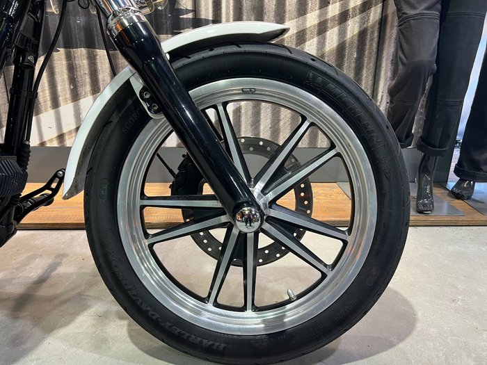 2008 HARLEY-DAVIDSON FXDL DYNA LOW RIDER