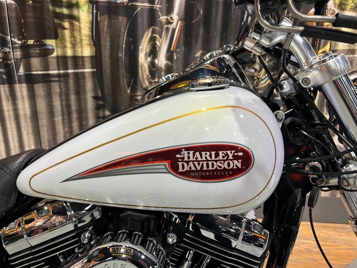2008 HARLEY-DAVIDSON FXDL DYNA LOW RIDER