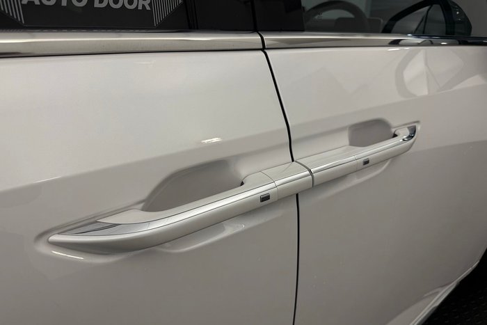 2023 LDV MIFA Executive