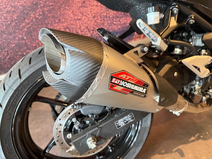 2025 Kawasaki Ninja 500 (EX500G) Ninja Black