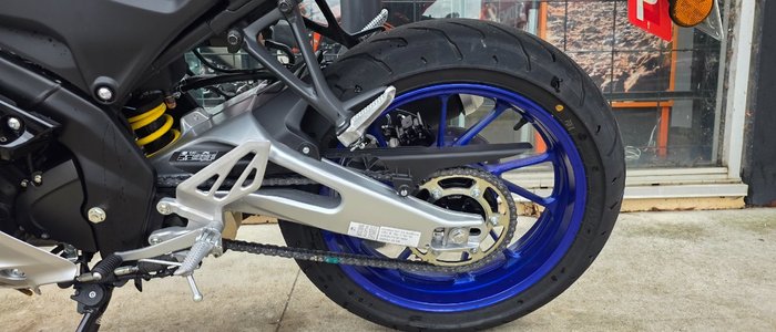 2025 Yamaha YZF-R15M SILVER