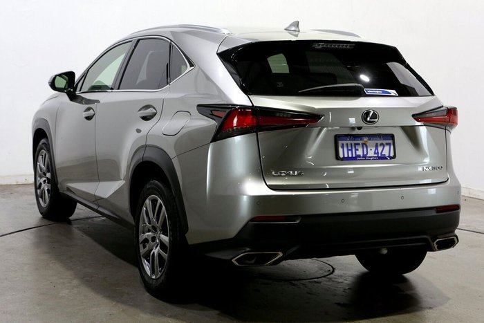 2020 Lexus NX NX300 Luxury