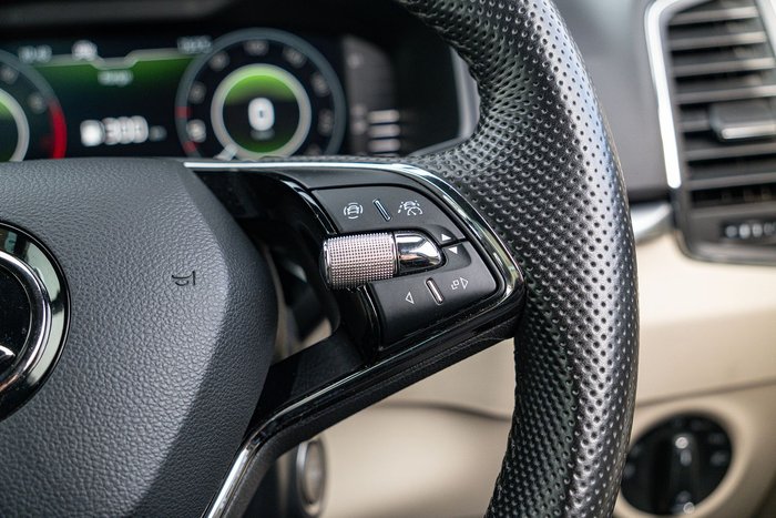 2021 SKODA Karoq 110TSI