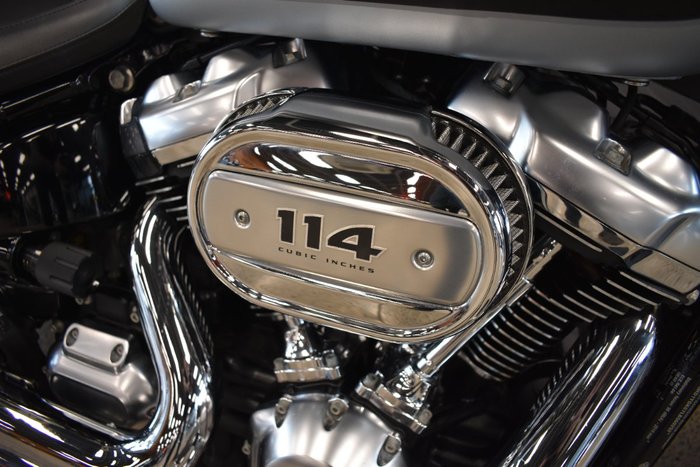 2020 HARLEY-DAVIDSON FLFBS FAT BOY (114)