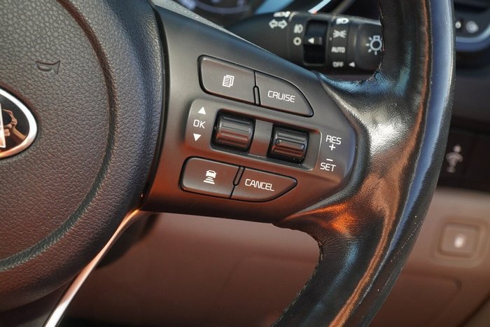 2019 Kia Carnival Platinum