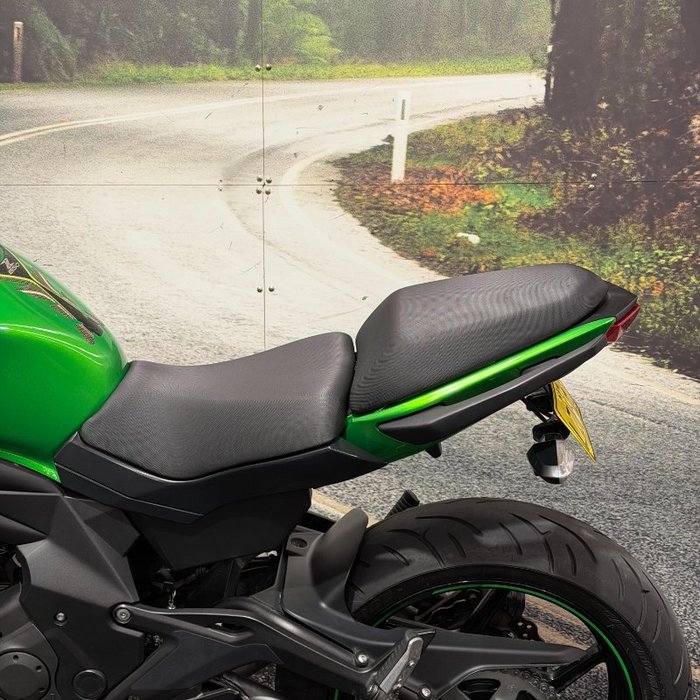 2016 Kawasaki NINJA 650L Green