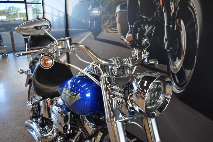 2009 HARLEY-DAVIDSON FLSTF FAT BOY