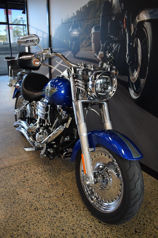 2009 HARLEY-DAVIDSON FLSTF FAT BOY