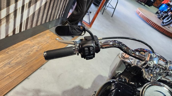 2022 HARLEY-DAVIDSON FLFBS FAT BOY S (114)