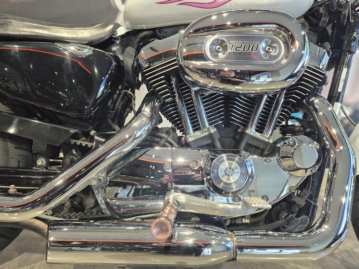 2006 Harley-Davidson 1200 Custom (XL1200C) Sportster White