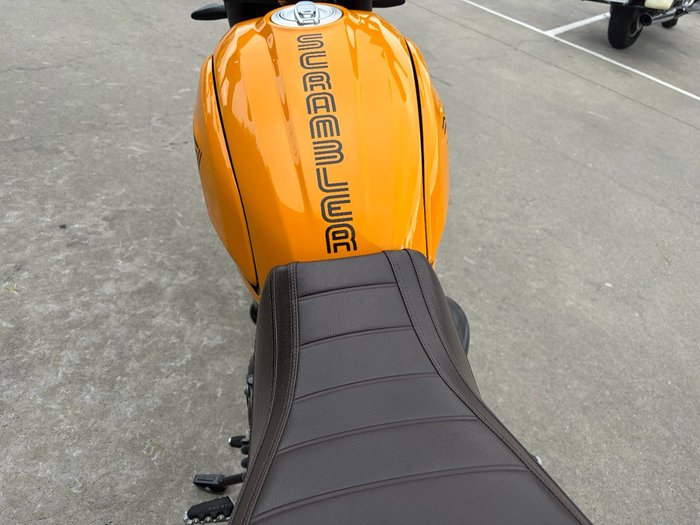 2022 DUCATI SCRAMBLER 1100 Yellow