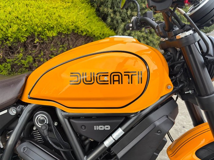 2022 DUCATI SCRAMBLER 1100 Yellow