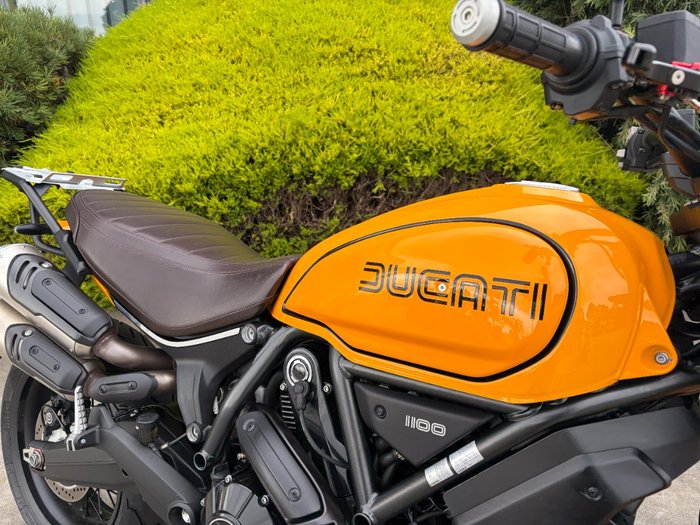 2022 DUCATI SCRAMBLER 1100 Yellow