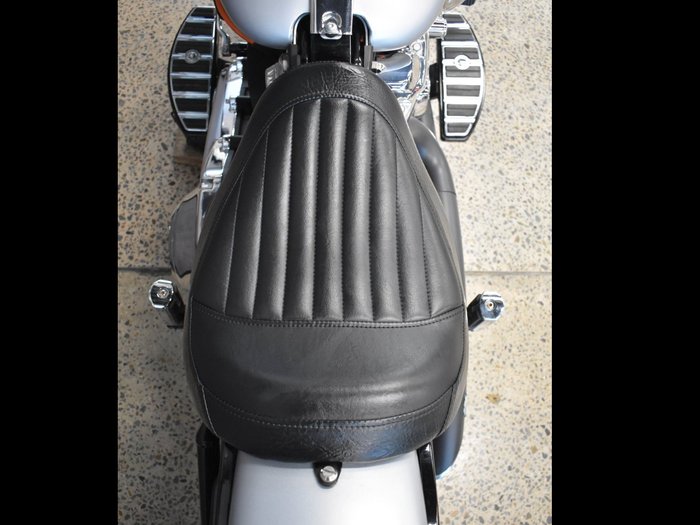 2020 HARLEY-DAVIDSON FLSL SOFTAIL SLIM (107)