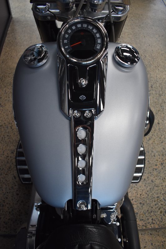 2020 HARLEY-DAVIDSON FLSL SOFTAIL SLIM (107)