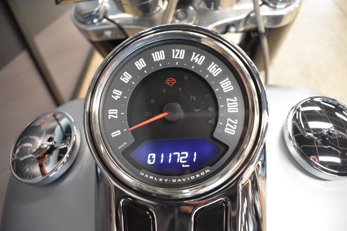2020 HARLEY-DAVIDSON FLSL SOFTAIL SLIM (107)