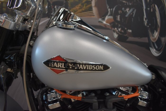 2020 HARLEY-DAVIDSON FLSL SOFTAIL SLIM (107)