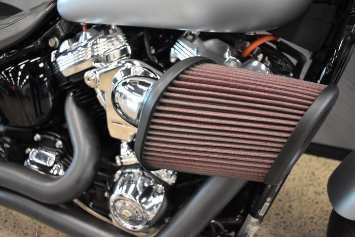 2020 HARLEY-DAVIDSON FLSL SOFTAIL SLIM (107)