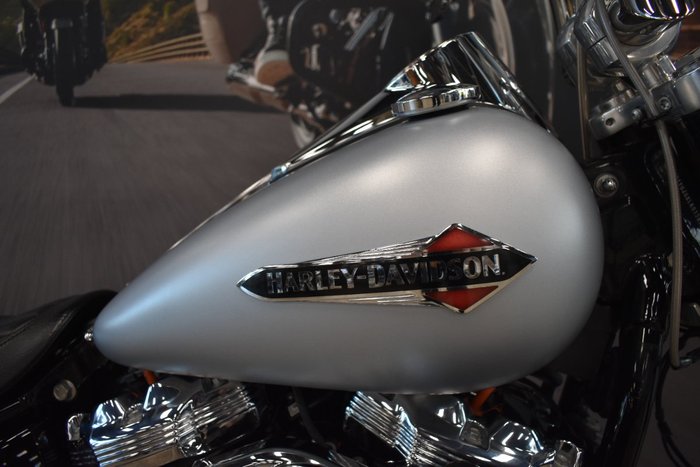 2020 HARLEY-DAVIDSON FLSL SOFTAIL SLIM (107)