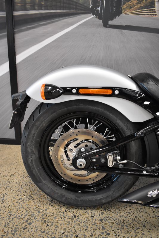 2020 HARLEY-DAVIDSON FLSL SOFTAIL SLIM (107)