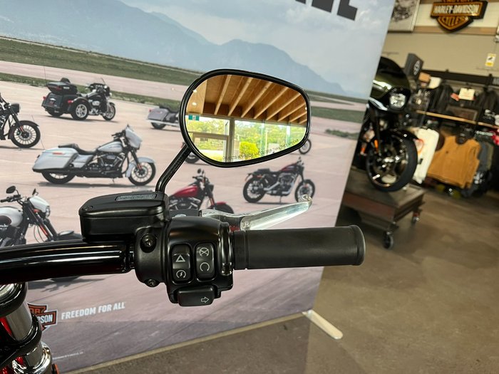 2019 HARLEY-DAVIDSON 2019 FXBR BREAKOUT 107