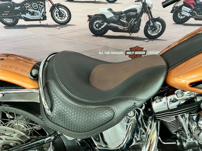 2008 HARLEY-DAVIDSON FLSTN SOFTAIL DELUXE