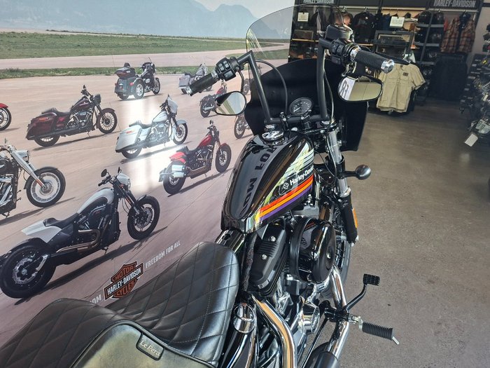 2019 HARLEY-DAVIDSON XL1200XS FORTY-EIGHT SPECIAL
