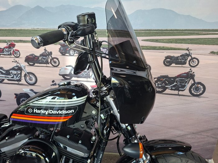 2019 HARLEY-DAVIDSON XL1200XS FORTY-EIGHT SPECIAL