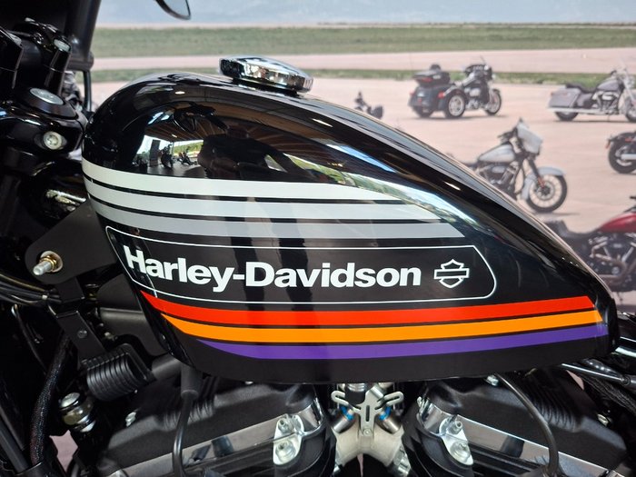 2019 HARLEY-DAVIDSON XL1200XS FORTY-EIGHT SPECIAL